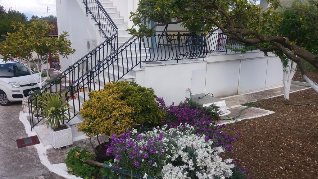 Appartement Pantelatos Studios Sami (Kefalonia)