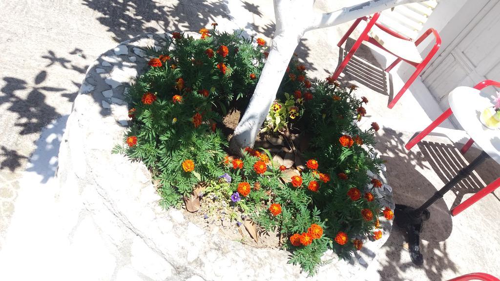 Pantelatos Studios Appartement Sami (Kefalonia)